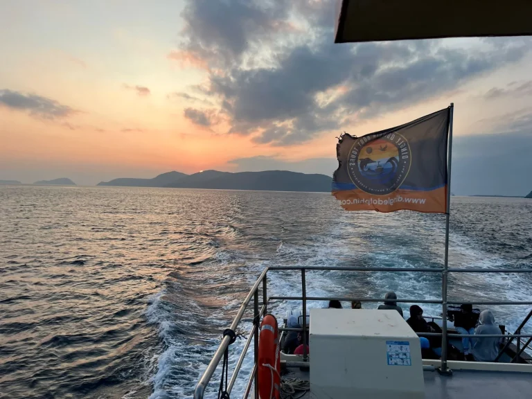 A boat moves across the sea at sunset, leaving a wake behind. Several passengers sit on deck, and a Dingle Dolphin flag logo flutters at the stern. The Great Blasket Islands are visible on the horizon.