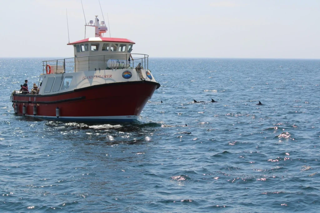 Dingle Dolphin Boat Tours skipper Adam and crew Niamh on Dingle Bay