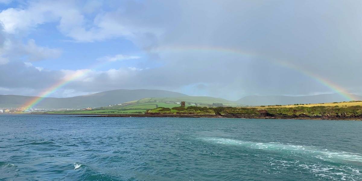 Dingle Dolphin Boat Tours - Dingle Harbour rainbow