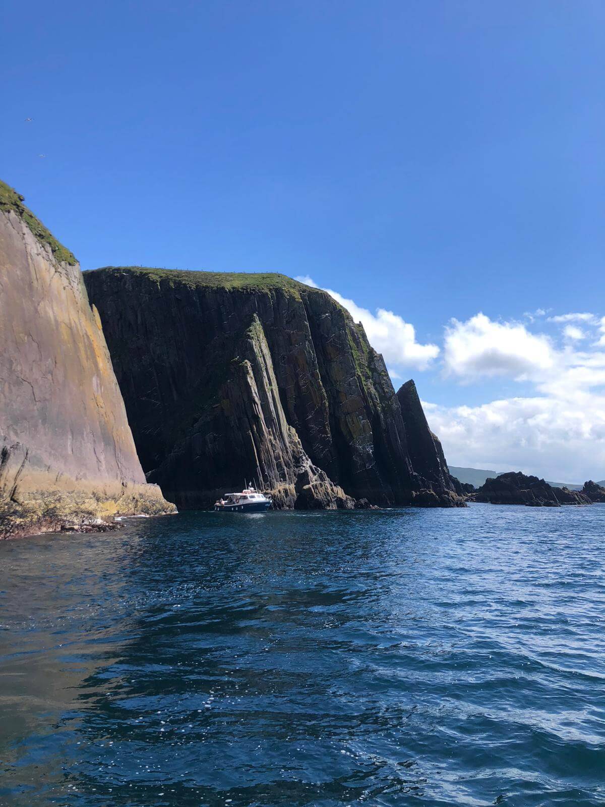 Dingle Dolphin Boat Tours - Dingle Harbour Cliffs 