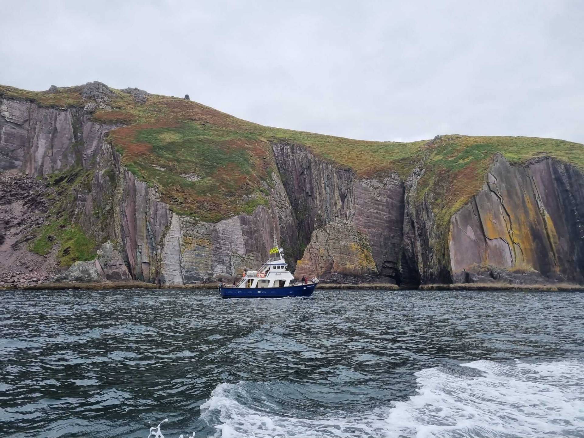 Dingle Dolphin Boat Tours - Dingle cliffs