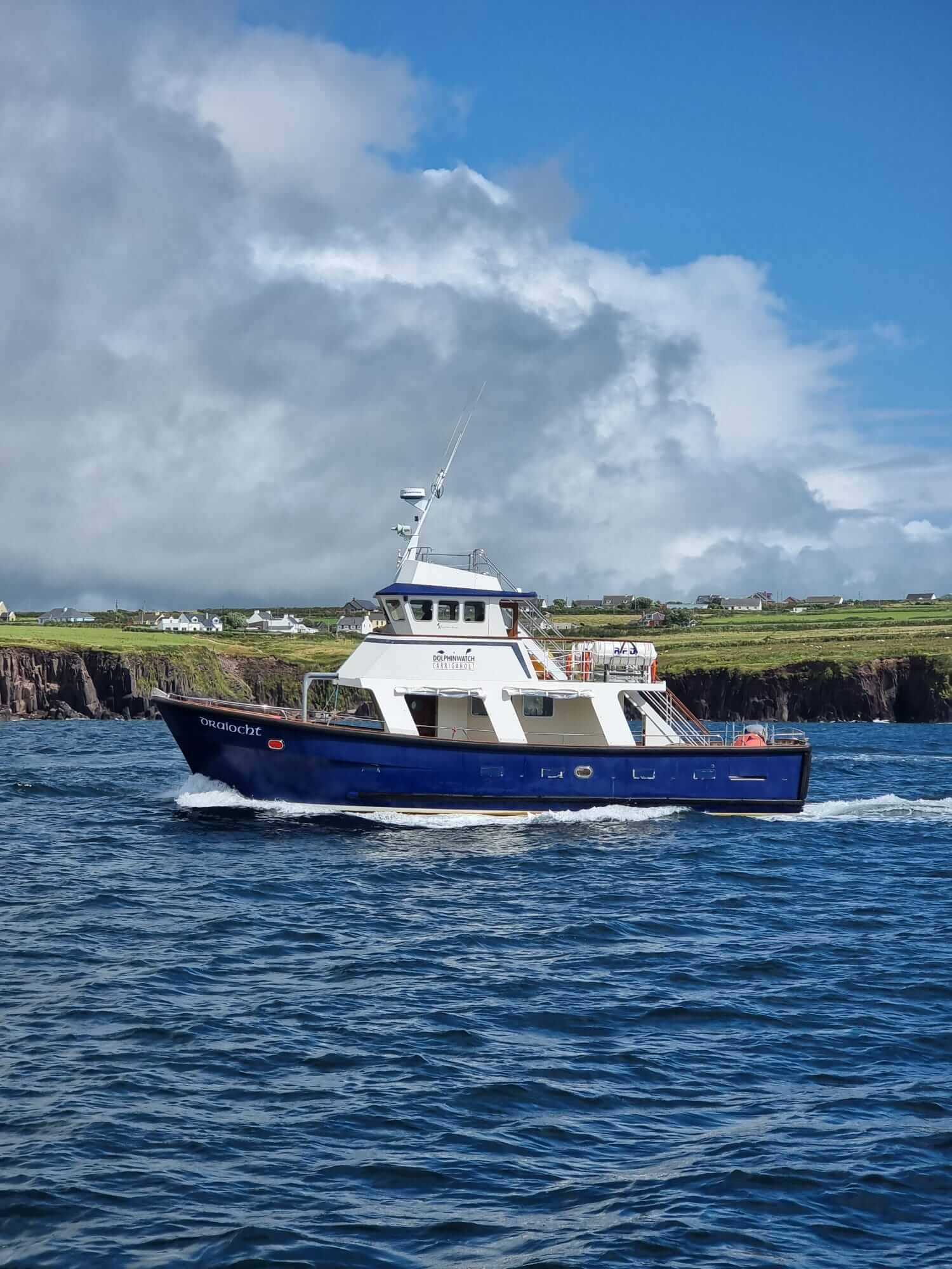 Dingle Dolphin Boat Tours - Draíocht boat tour