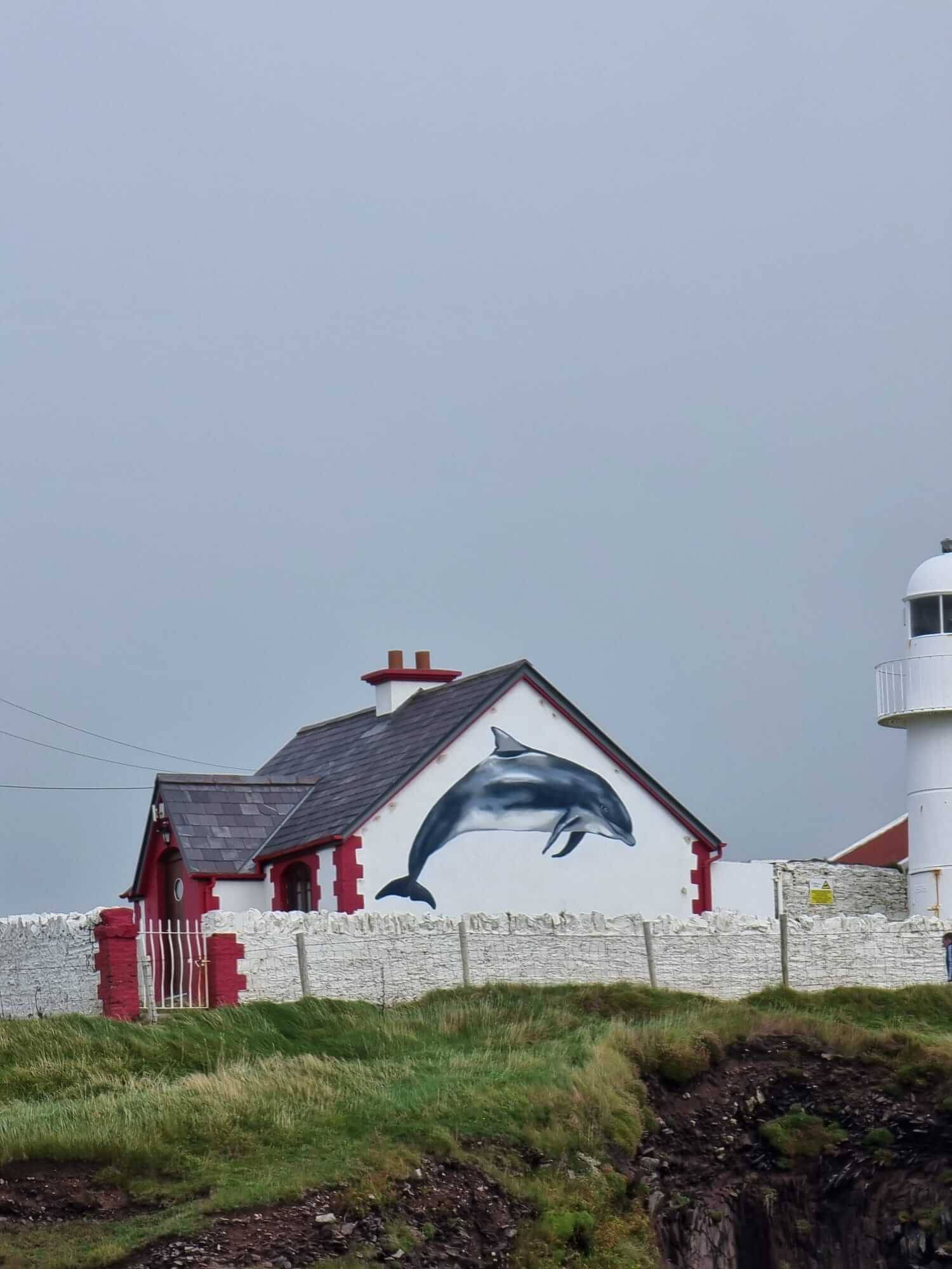 Dingle Dolphin Boat Tours - Dingle lighthouse fungie portrait