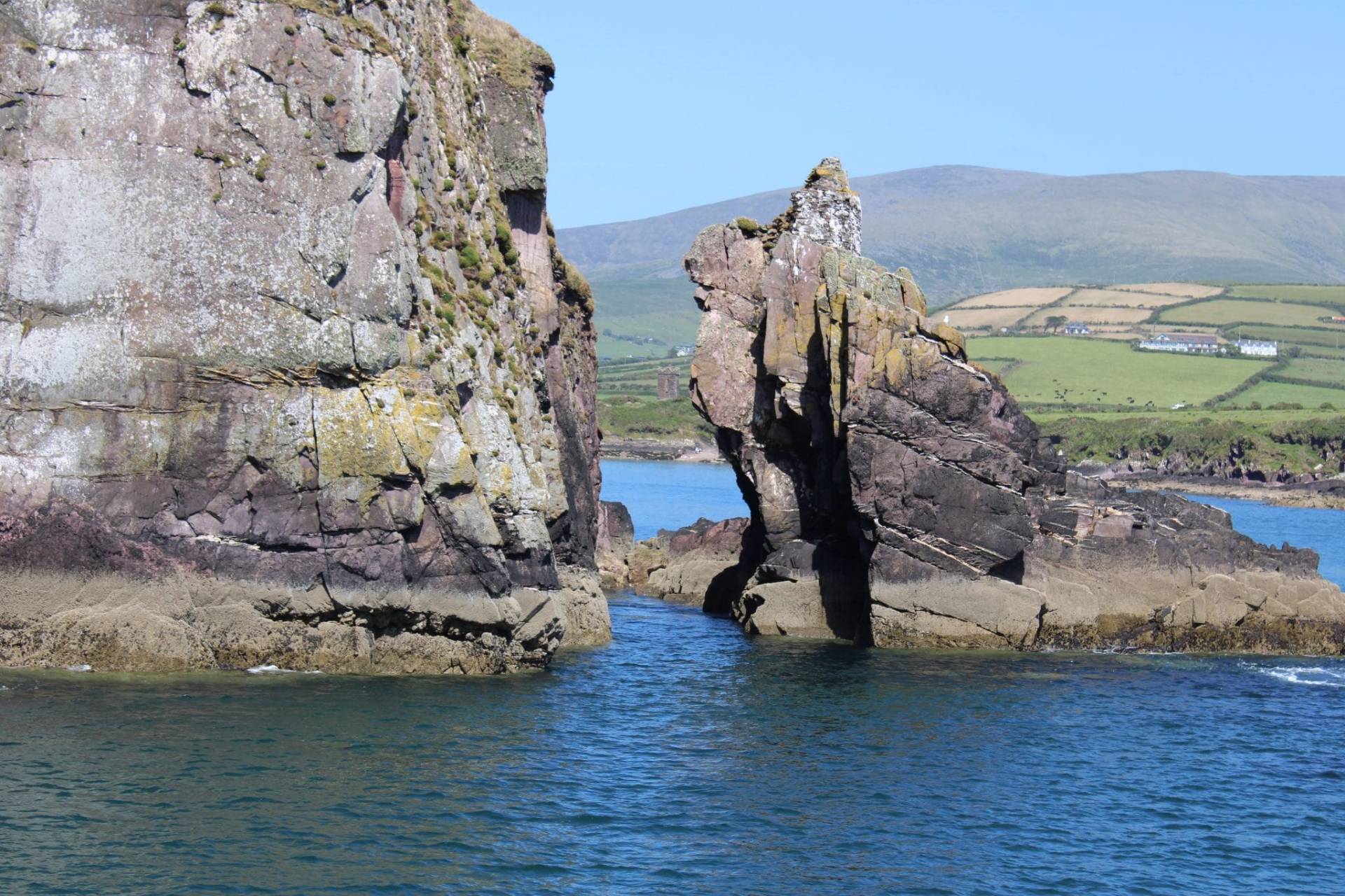 Dingle Dolphin Cliff Tour
