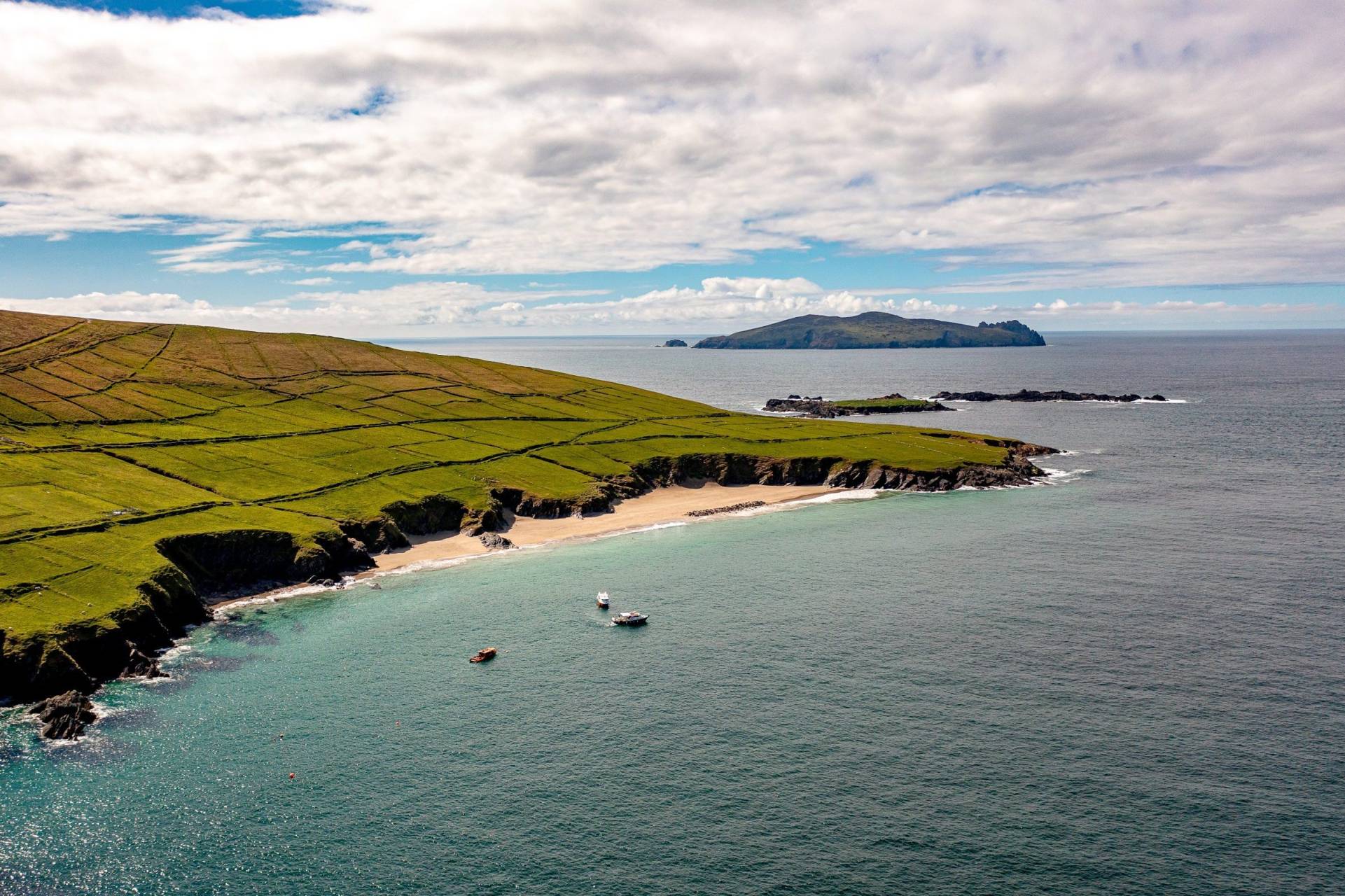 Dingle Dolphin Boat Tours - Great Blasket Island